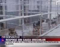Sibiu. Patru câini provoacă o criză birocratică la unitatea canină a Ministerului de Interne