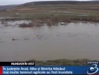 Inundaţiile au afectat sute de hectare de teren arabil