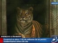 Attila Korodi: Grădina Zoologică din Bucureşti nu se închide
