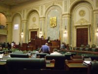 Senatorii au adoptat ordonanţa de modificare a legii ANI