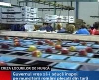 Muncitorii români din Italia s-ar întoarce în ţară pe salarii de peste 450 de euro