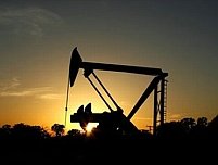 Nou record stabilit de preţul petrolului: 118 dolari barilul