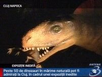 Expoziţie inedită. La Cluj pot fi admiraţi peste 50 de dinozauri în mărime naturală <font color=red>(VIDEO)</font>