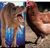 Un studiu american arată că Tyrannosaurus Rex se înrudeşte cu puiul de găină