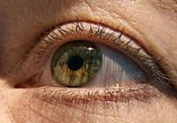 A fost descoperit un tratament genetic pentru afecţiunile oculare