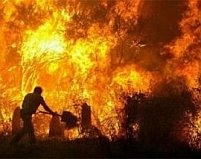 Incendii puternice în sudul Italiei, cauzate de caniculă