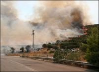 Cipru. Şase localităţi au fost evacuate în urma unui incendiu