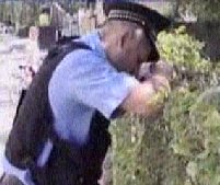 Poliţist comunitar, filmat în timp ce se împleticea pe drumul spre casă