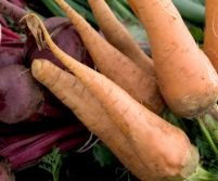 Supermarketurile din U.E. pot vinde din nou legume şi fructe "diforme"
