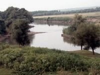 Peste 100 de gospodării au fost inundate de apele Prutului, în sudul judeţului Vaslui
