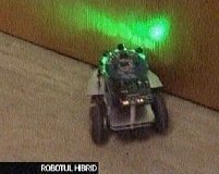 Britanicii au creat un robot care răspunde comenzilor venite din creierul unui şobolan