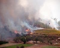 Incendiu în Bucureşti. 15 hectare de vegetaţie au ars în cartierul Băneasa