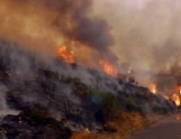 Incendiu de pădure în judeţul Cluj