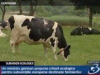 Un ministru german propune criterii ecologice pentru subvenţiile europene destinate fermierilor