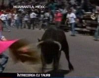 Mexic. "Festivalul taurilor" din Huamantla, ajuns la cea de-a 55-a ediţie