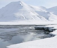 Rezervele de carbon din solul arctic, o "bombă" care afectează clima globală