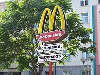 Sofia: La McDonalds şobolanii aleargă pe mese şi au devenit imuni la otravă