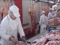 Producătorii vor preţuri mai mari la carnea de porc, cu până la 20 de procente


