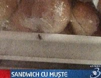 Constanţa. Inspectorii OPC au găsit sandvişuri cu muşte la un chioşc şcolar (VIDEO)