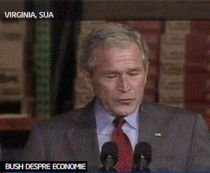 Bush: Creditele sunt ?sângele economiei americane? (VIDEO)
