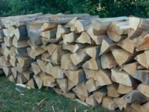 România importă lemne de la bulgari 