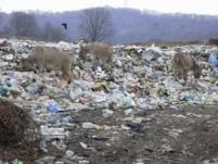 Giurgiu. Locuitorii comunei Frăţeşti protestează faţă de amplasarea unei gropi de gunoi în zonă