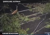 Australia. O furtună puternică a ucis un tânăr de 20 de ani
