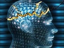 Cercetătorii italieni au identificat cauzele epilepsiei