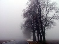 Infotrafic. Ceaţă în Ilfov, Brăila, Suceava şi Prahova