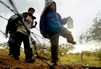Criza economică agravează imigraţia ilegală