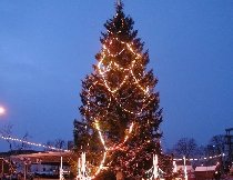 Guvernul renunţă la pomul de Crăciun, PD-L sărbătoreşte sub bradul din Modrogan