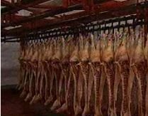 Lista judeţelor în care a ajuns carnea de porc cancerigenă