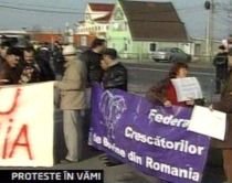 Crescătorii de taurine protestează la vămile din vestul ţării faţă de importul de lapte din Ungaria