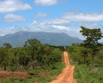 O nouă pădure a fost descoperită în Mozambic cu ajutorul Google Maps 