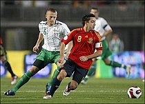Spania dă cei mai mulţi jucători în echipa anului 2008, votată pe site-ul UEFA