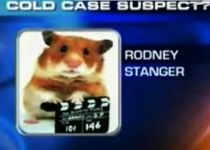 Hamster, suspect de crimă în California :) (VIDEO)