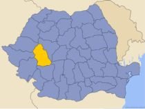 Hunedoara: PD-L şi PSD au câştigat alegerile la Primăriile Orăştie şi Şoimuş