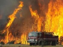 Bilanţul incendiilor din Australia a ajuns la 200 de morţi