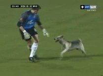 Câinele, cel mai bun prieten al fotbalistului (VIDEO)