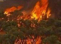 Noi incendii în Australia, din cauza temperaturilor ridicate