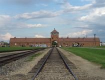 Firmă din industria auto germană, acuzată că a folosit păr de la Auschwitz

