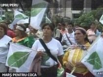 Peruanii cer scoaterea frunzei de coca de pe lista drogurilor periculoase