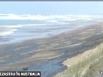 Zeci de plaje australiene, declarate zone sinistrate, în urma poluării cu îngrăşăminte chimice