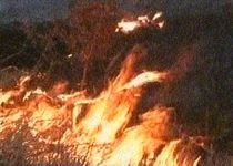 Zece hectare de vegetaţie uscată, incendiate în comuna Scoarţa