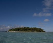 Alertă de tsunami în insulele Tonga din Pacific după un cutremur de 7,9 grade