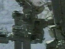 Un liliac s-a agăţat de rezervorul extern al navetei Discovery, în momentul lansării