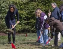 Michelle Obama a participat la amenajarea unei grădini de zarzavat în parcul Casei Albe