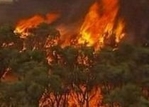 Stare de urgenţă în California: Mii de oameni şi-au părăsit casele din cauza incendiilor de vegetaţie (VIDEO)