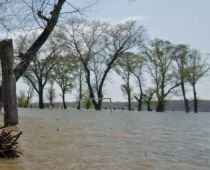 Inundaţiile din Virginia au distrus peste 100 de clădiri şi au avariat alte 1.500
