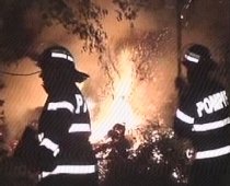 Pădure din Reşiţa, cuprinsă de flăcări (VIDEO)